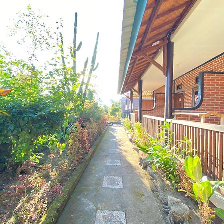 Green Orry Inn Tetebatu Exterior photo