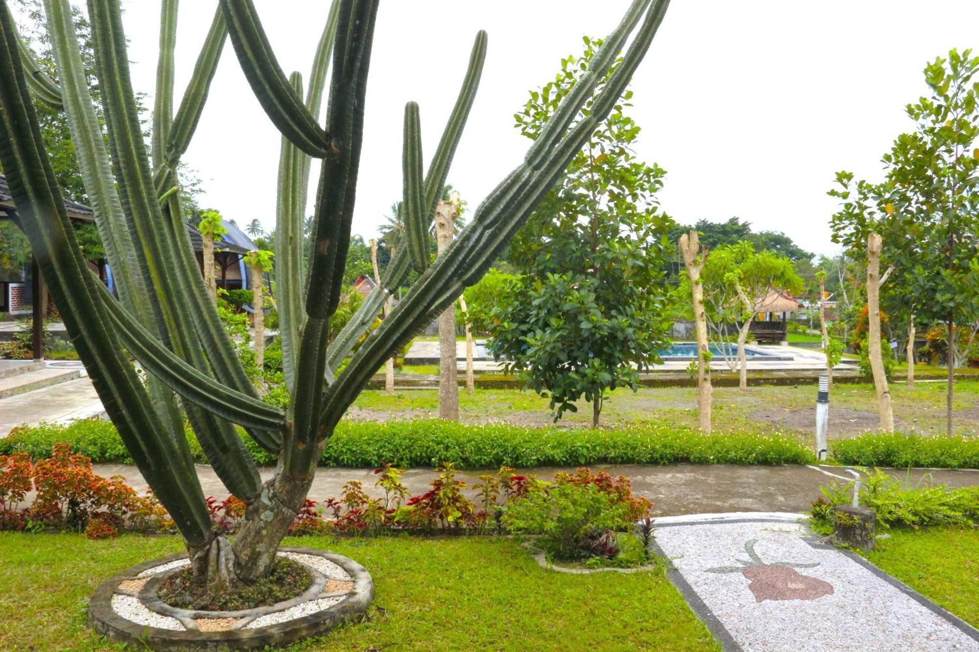Green Orry Inn Tetebatu Exterior photo
