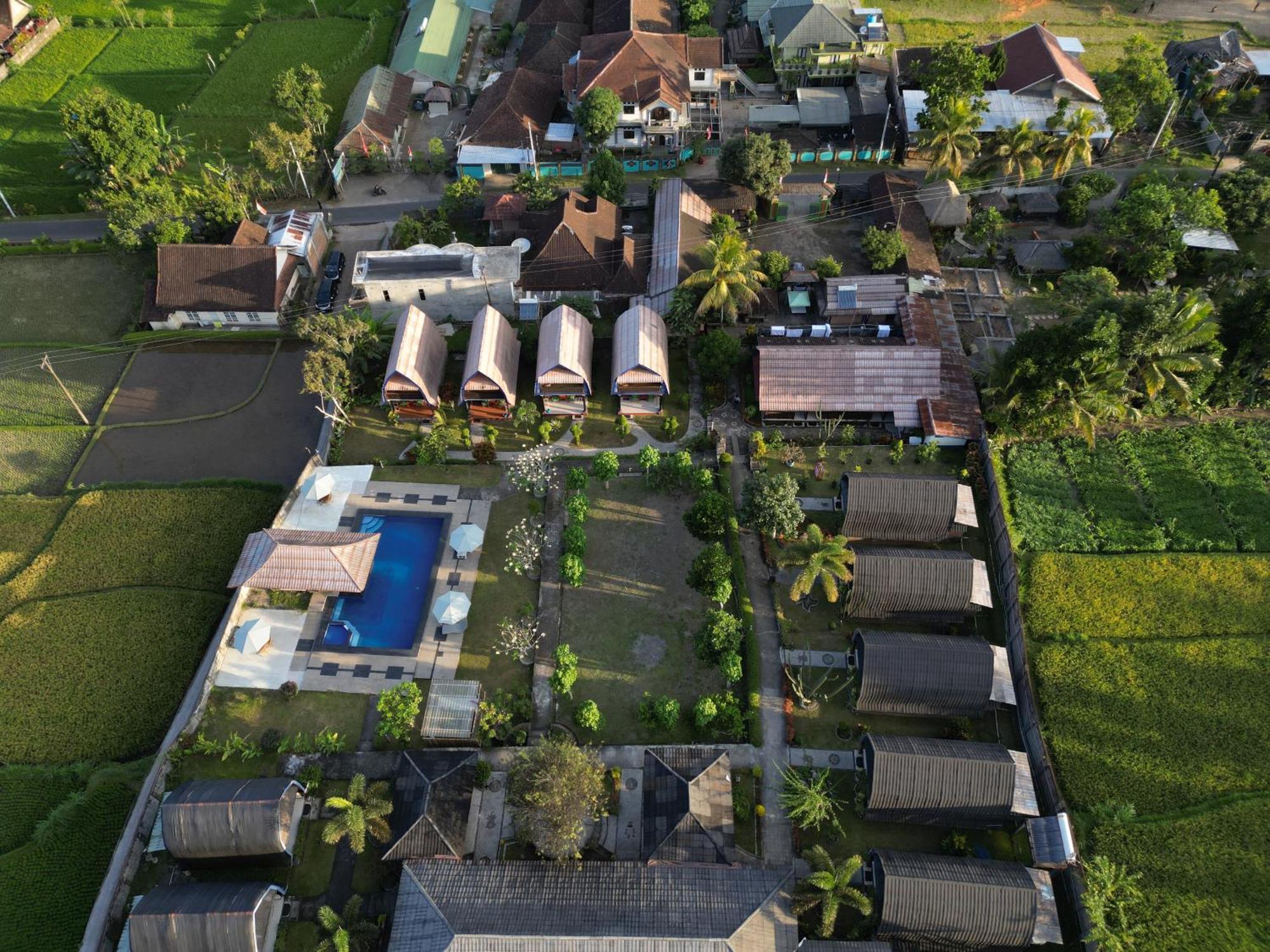 Green Orry Inn Tetebatu Exterior photo